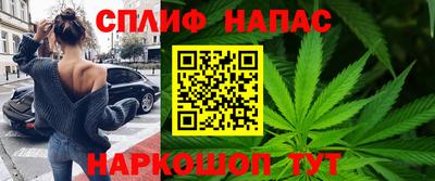 не бодяженный Гатчина