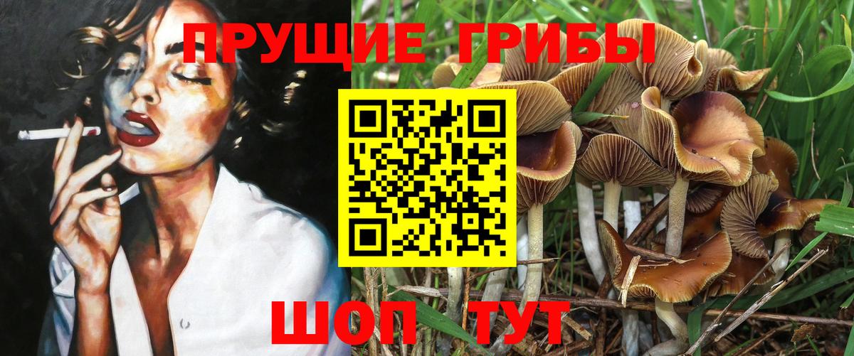 сколько стоит  Вход с VPN  Мирный  Псилоцибиновые грибы ЛСД 