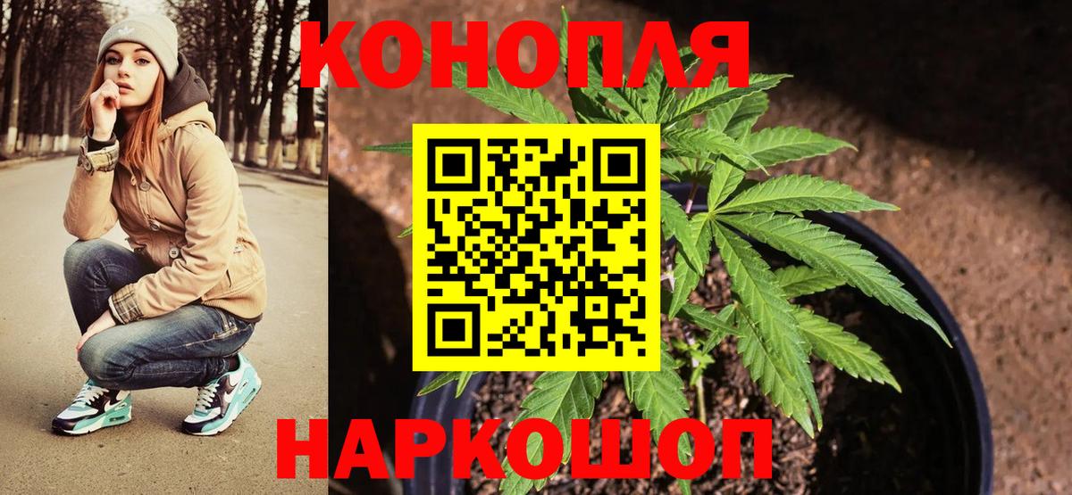 МАРИХУАНА планчик  Каннабис гибрид  Каннабис Amnesia  Конопля тримм  Вход с VPN  Мирный 